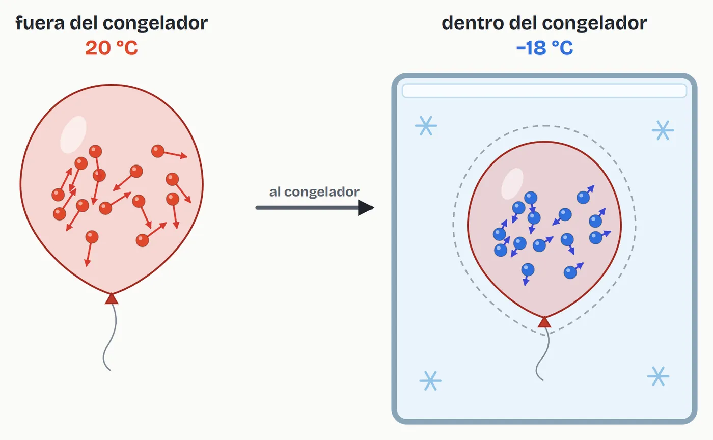 El mismo globo fuera del congelador, a 20 °C, y dentro, a −18 °C. Dentro siguen las mismas partículas, pero se mueven más despacio, empujan menos la goma y el globo se encoge (a trazos, el tamaño que tenía fuera). En el dibujo los cambios están exagerados para que se vean: de 20 °C a −18 °C, el volumen baja un 13 % y la rapidez media de las partículas, un 7 %
