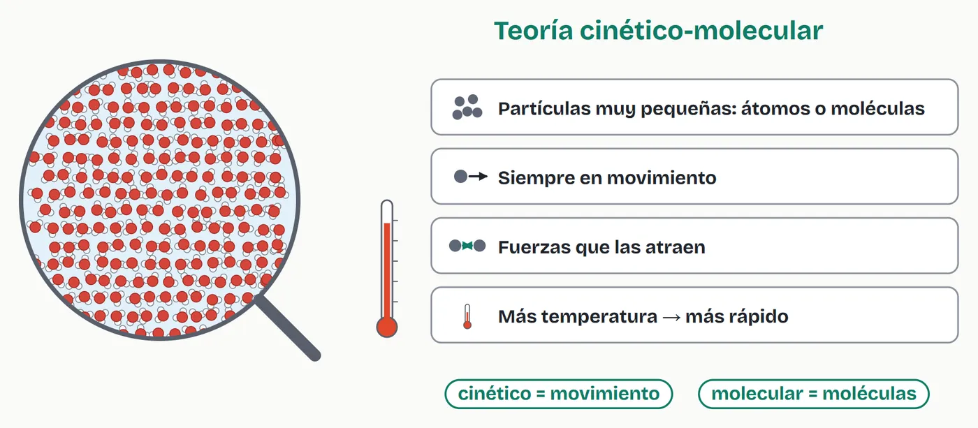 La teoría cinético-molecular en cuatro ideas: partículas muy pequeñas, siempre en movimiento, con fuerzas que las atraen y más rápidas cuanto más calientes