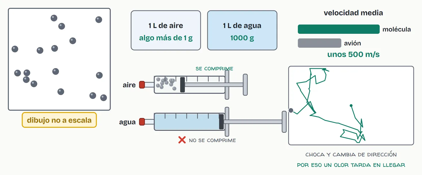 El aire de una jeringa tapada se comprime al apretar; el agua no se mueve. Las partículas del gas están muy separadas y se mueven muy deprisa
