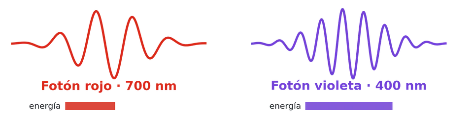 Un fotón rojo de 700 nm y uno violeta de 400 nm. El violeta vibra más deprisa y lleva 1,75 veces más energía: la frecuencia manda