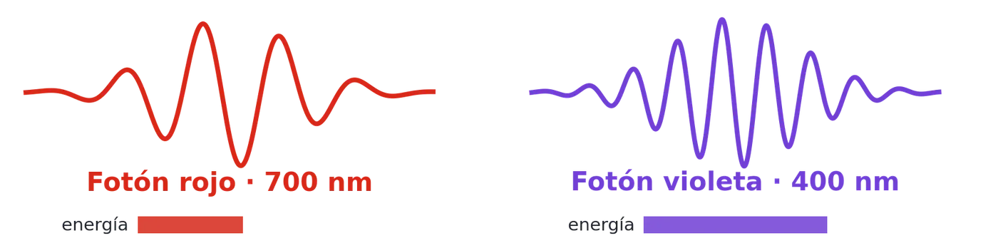 Un fotón rojo de 700 nm y uno violeta de 400 nm. El violeta vibra más deprisa y lleva 1,75 veces más energía: la frecuencia manda