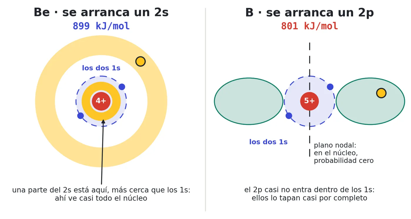 El 2s tiene una pequeña parte muy cerca del núcleo, dentro de los 1s, y ahí siente casi toda la carga. El 2p tiene un plano nodal que pasa por el núcleo, casi no entra y los 1s lo tapan