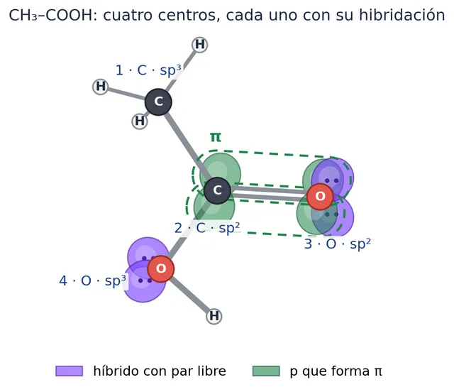 Ácido acético, CH₃–COOH: cuatro centros, cada uno con su hibridación. En verde, el π del C=O; en morado, los pares libres de los dos oxígenos
