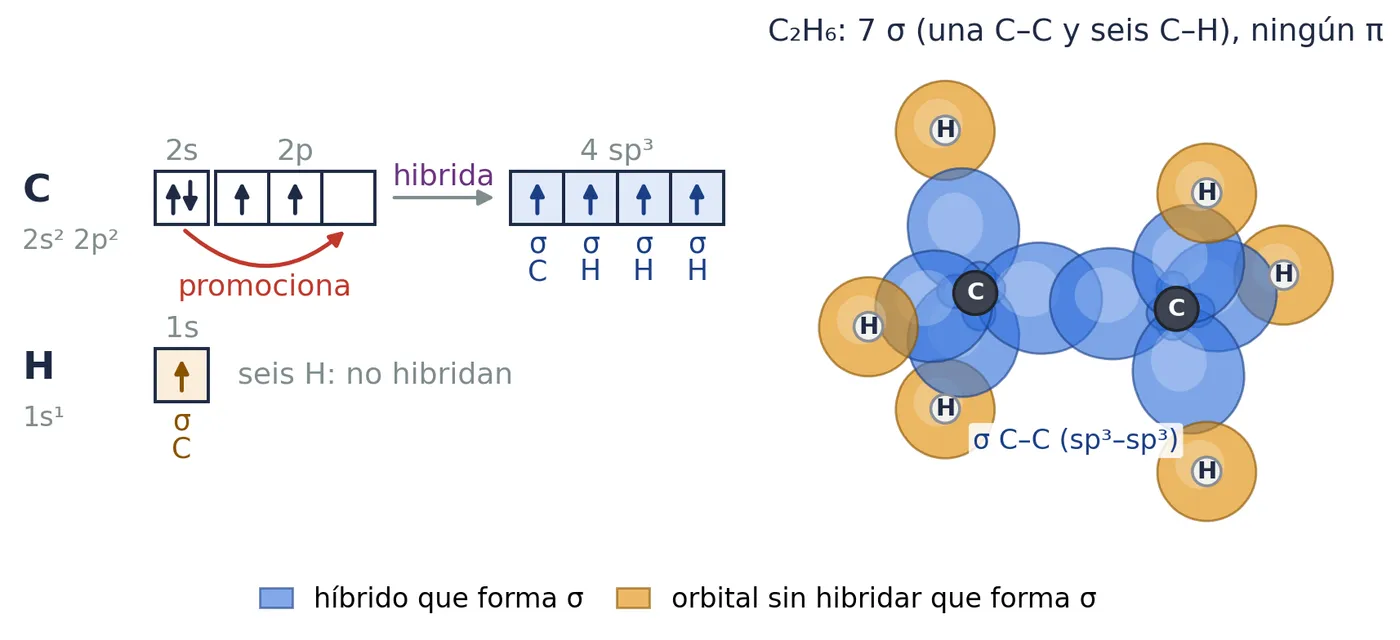 Etano, C₂H₆. Cada carbono promociona y forma cuatro híbridos sp³ (azul): tres solapan con el 1s de un hidrógeno (naranja) y el cuarto, de frente, con un sp³ del otro carbono. 7 σ y ningún π