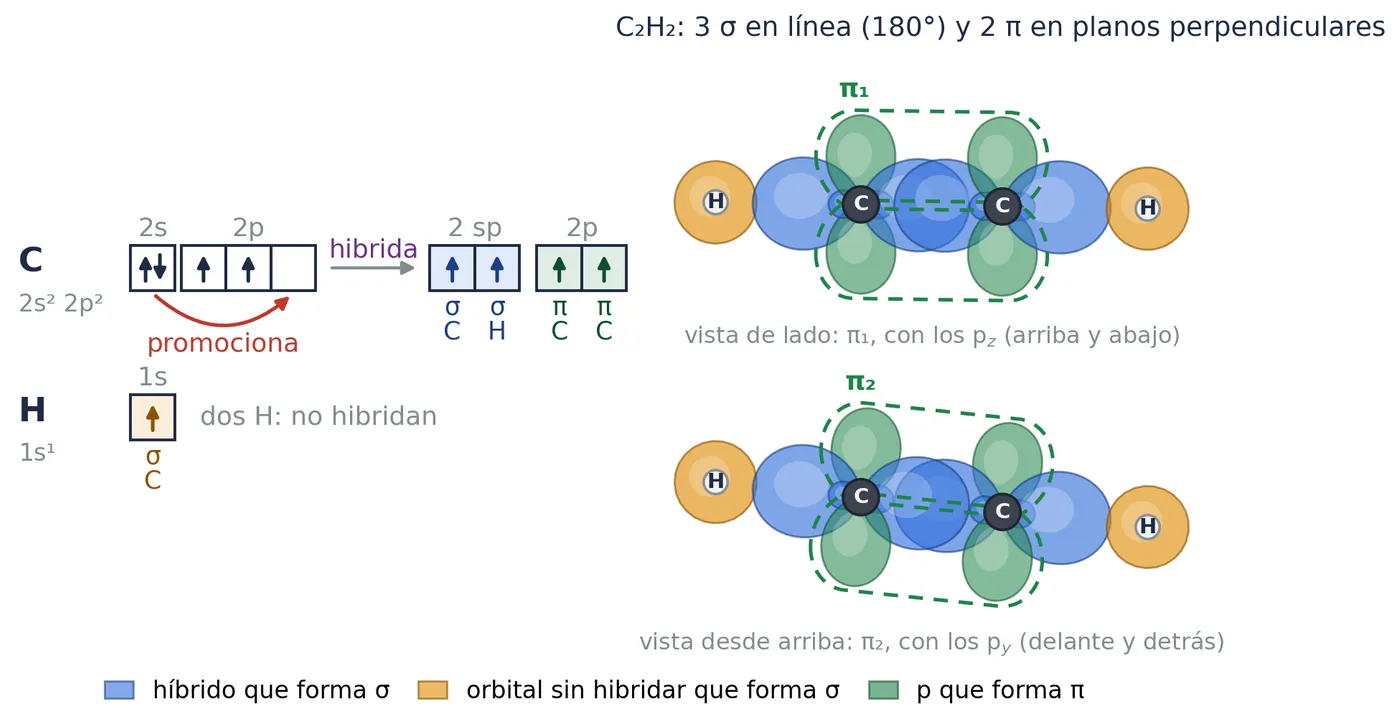 Etino, C₂H₂. Cada carbono forma dos híbridos sp en línea (azul) y le sobran dos 2p (verde). Los de arriba y abajo forman el π₁, que se ve de lado; los de delante y detrás, el π₂, que se ve desde arriba