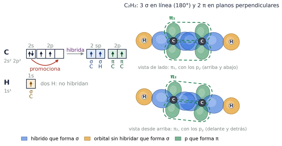 Etino, C₂H₂. Cada carbono forma dos híbridos sp en línea (azul) y le sobran dos 2p (verde). Los de arriba y abajo forman el π₁, que se ve de lado; los de delante y detrás, el π₂, que se ve desde arriba