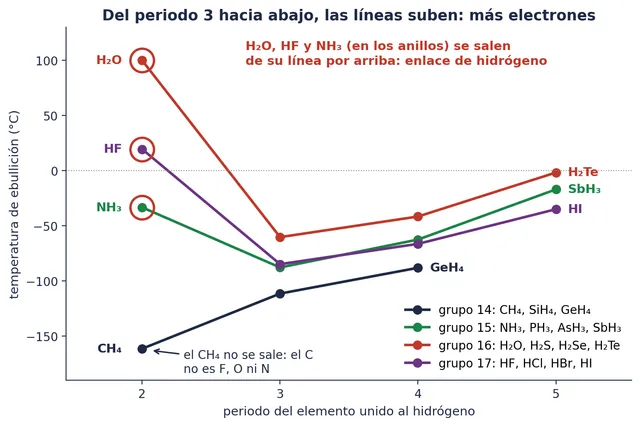 Temperatura de ebullición de los hidruros de los grupos 14 a 17, del periodo 2 al 5 (el grupo 14, hasta el 4). El H₂O, el HF y el NH₃ se salen de su línea por arriba; el CH₄, no