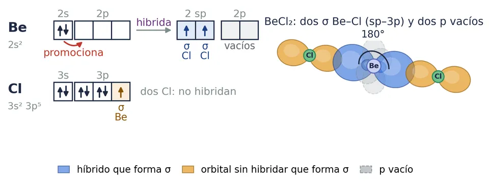 El cloruro de berilio: el berilio promociona e hibrida sp. Sus dos híbridos (azul) solapan de frente con un 3p de cada cloro (naranja): dos σ Be⁠–⁠Cl (sp⁠–⁠3p), a 180°. Le quedan dos 2p vacíos (gris)