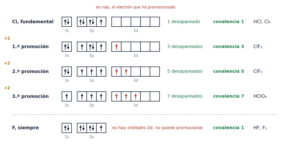 Las covalencias del cloro en cajas: cada promoción rompe un par y deja dos electrones desapareados más (en rojo, el que ha promocionado). El flúor no tiene orbitales 2d y su covalencia es siempre 1