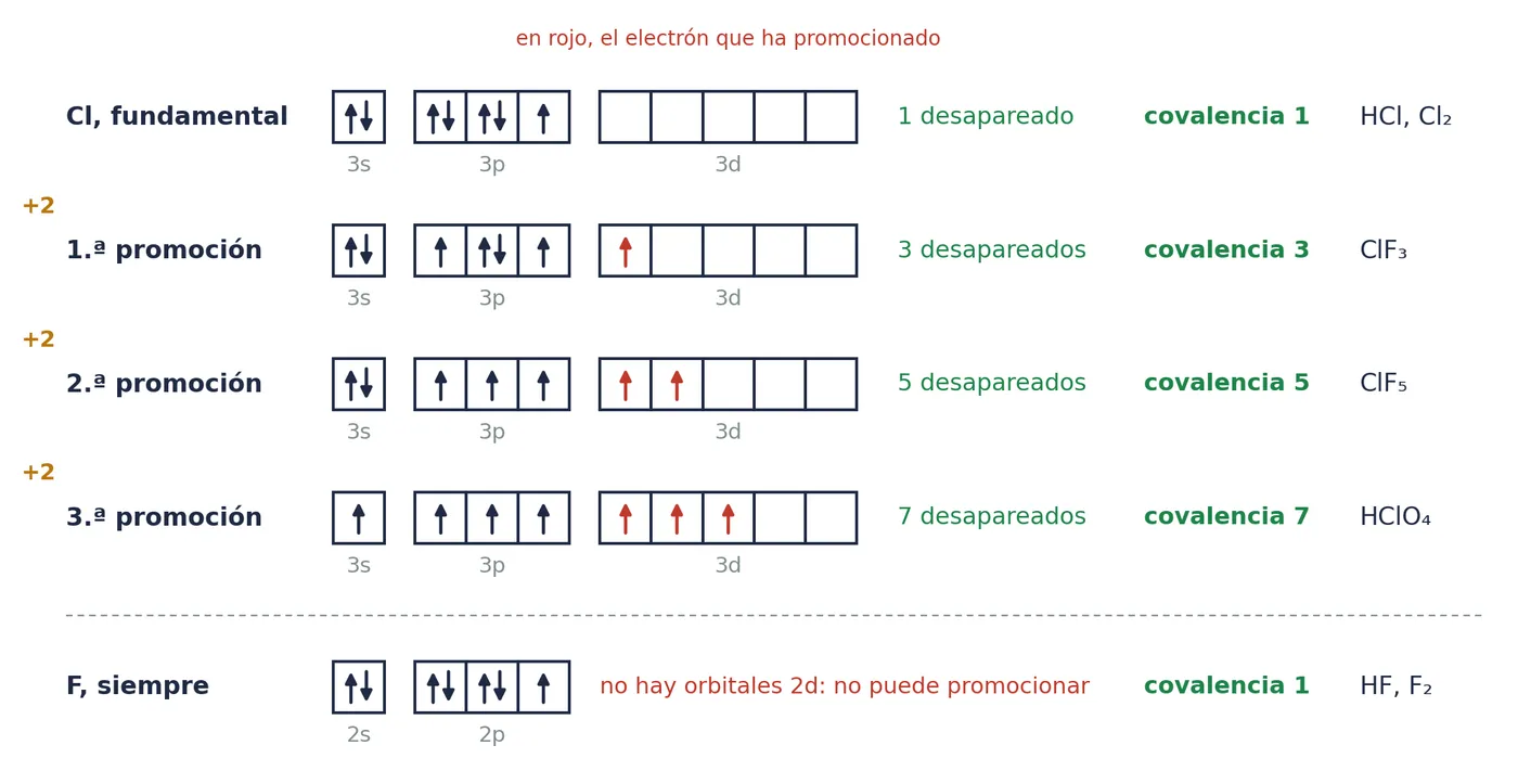 Las covalencias del cloro en cajas: cada promoción rompe un par y deja dos electrones desapareados más (en rojo, el que ha promocionado). El flúor no tiene orbitales 2d y su covalencia es siempre 1