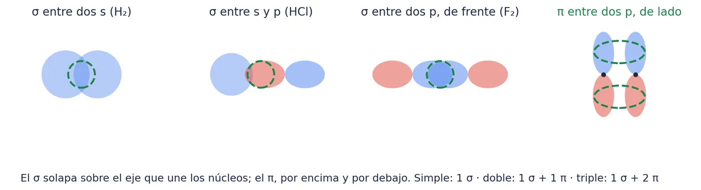 Los enlaces σ, siempre sobre el eje que une los núcleos: entre dos orbitales s (H₂), entre un s y un p (HCl) y entre dos p de frente (F₂). El enlace π, entre dos orbitales p paralelos, de lado: por encima y por debajo del eje