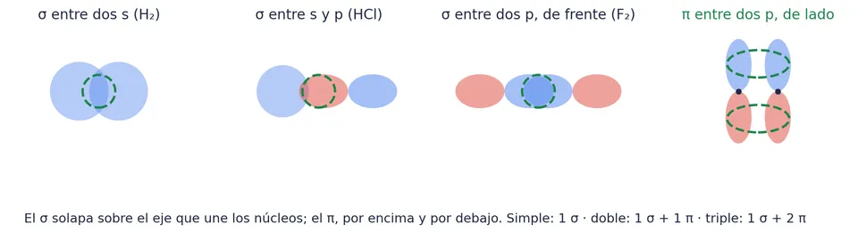 Los enlaces σ, siempre sobre el eje que une los núcleos: entre dos orbitales s (H₂), entre un s y un p (HCl) y entre dos p de frente (F₂). El enlace π, entre dos orbitales p paralelos, de lado: por encima y por debajo del eje