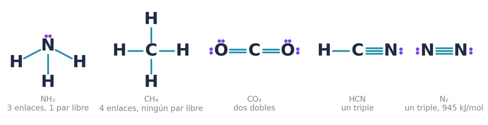 Cinco estructuras razonadas: el NH₃ con tres enlaces y un par libre, el CH₄ con cuatro enlaces, el CO₂ con dos dobles, el HCN con un triple y el N₂, con un triple de 945 kJ/mol